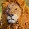 tedlucas255 - @tedlucas255 - TikTok