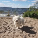 Teddy Lucius - @teddybearlucius - Instagram