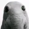 luke and ted - @luke.and.ted - TikTok