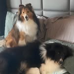 Ted, Zé & Luke - @annaferreira92 - Instagram