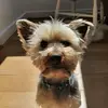 Teddy-o - @tedlovski - TikTok