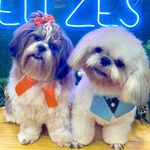Ted & Luna 🐶 - @soutedeluna - Instagram