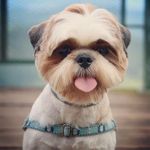Ted & Luna Dinkowski - @brazilianted - Instagram