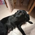 Teddy Lipscombe - Facebook