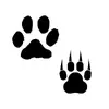 Tedly - @givesmepawz - TikTok