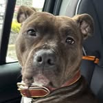 Ted Lyons - @tedlyons3 - Instagram
