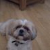 Ted Lyons - Facebook