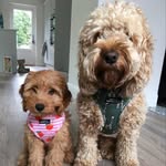 Ted & Macy Sweeney - @ted_macy.sweeney - Instagram