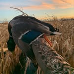 TED MAC #3 - @greatlakes_flyway - Instagram
