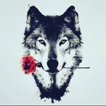 Ted Machado - @tedmachado - Instagram