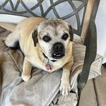 Ted MacKay - @thmackay - Instagram