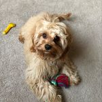 Ted - @ted_mackay.reid - Instagram