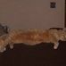 Ted Mackie - Facebook