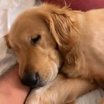 Maddy - @maddy_ted - Instagram