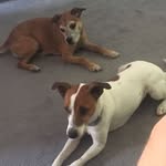 Madge and Ted - @madgeandted - Instagram
