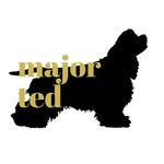 Major Ted Brewing - @majortedbrewing - Instagram