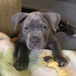 Ted E. Bear Major - @ted.e.beargram - Instagram