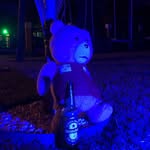 Ted - @ted_malandro - Instagram