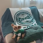 @tedmalandro2022 - Instagram
