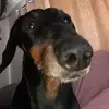 tedomala - @tedomala - TikTok