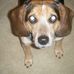 Teddy Malinowski - Facebook