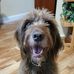 Ted Malone - Facebook