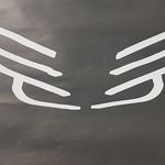 Ted Marcus - @tedmarcus3 - Instagram