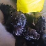 Ted - @tedmarinhofalcao - Instagram
