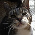 Ted Marinich - Facebook