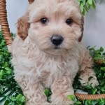 Ted Marks - @mr_ted_marks - Instagram