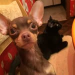 Маркус и Тэди - @markus_and_ted - Instagram