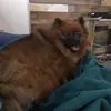 tedmarlin0 - @tedmarlin0 - TikTok