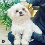 Teddy Marriott - @teddy_malshi2020 - Instagram