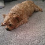 Ted master - @ted.master - Instagram