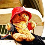 TED - @ted_master13 - Instagram