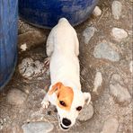 Ted Mata - Facebook