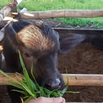 The Good Farm - @tedmatasjr - Instagram
