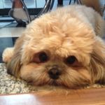 Ted Matos - @ted.matos - Instagram
