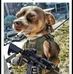 Ted Matteson - Facebook