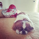 Mauro Tedone - @tedonemauro - Instagram