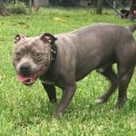 king - @teddiousrmayes - Instagram