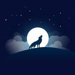 Ted Mayo - @tedmayo7 - Instagram