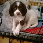 Ted Mcbride - Facebook