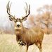 Ted McCall - Facebook