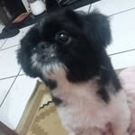 Teddy McCartney - @mccartneyteddy - Instagram