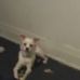 Ted Mcclain - Facebook
