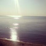 Ted McClain - @phiatigergirl - Instagram