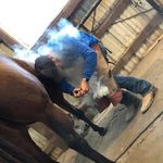 Teddy McClelland - @fit_farrier - Instagram