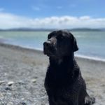 Baby McClure - @flynn.ted.mcclure - Instagram