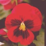 Teddie McClure - @teddiemcclure - Instagram
